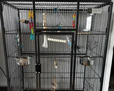 Bonded Pair of Male Budgies with Cage, Food & Accessories, View more
