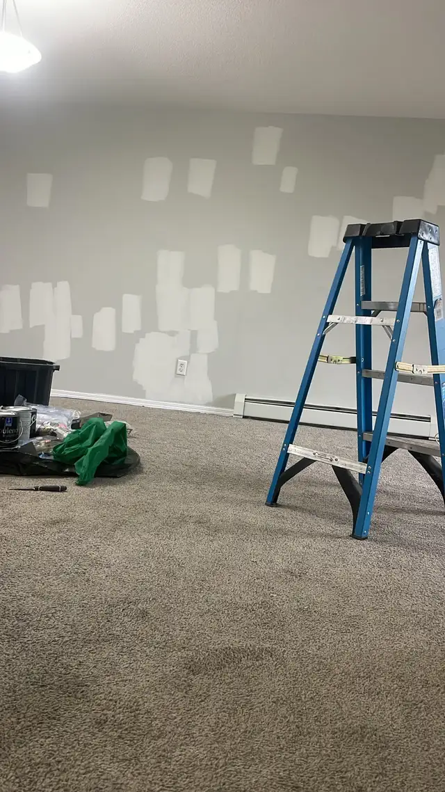 Affordable painter availble567889575240028162