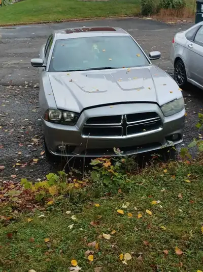2011 Dodge charger v6. I think the alternator seized and broke the serpentine belt still starts and...