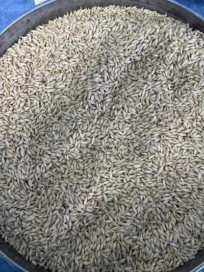 Clean chicken/bird feed, View more