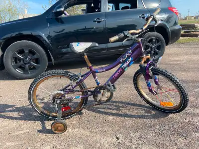 20” Girls Bike with training wheels , View more