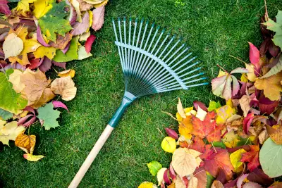 LAST CALL FOR FALL CLEAN UP!, View more