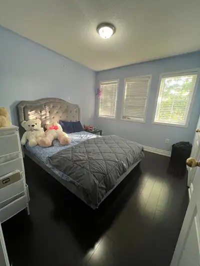 Available -2 Bedroom at Torbram and Sandalwood road
