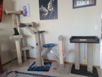 Wood + Carpet Cat Trees! Posts from 2 to 7 ft, made in YYC