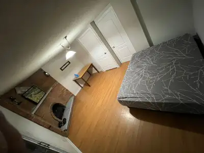 basement for rent