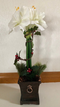 White amaryllis Christmas decor