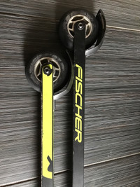 Fischer roller skis