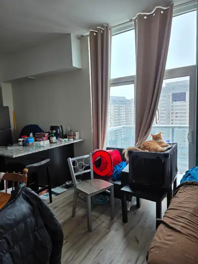 Hello Private room available in a shared apartment with one other person(me) in a 2 bed 1 bath penth...