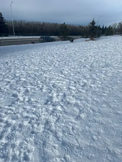 Male live in or out Care Giver available , View more