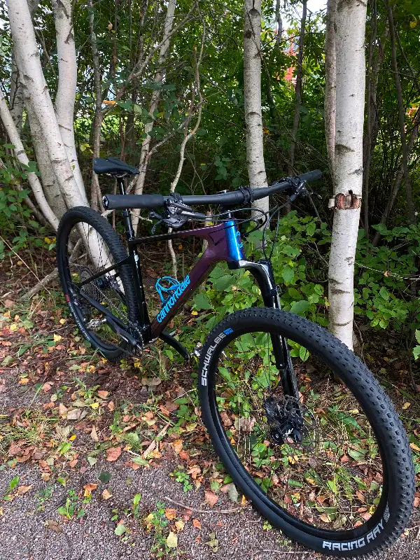 Cannondale Scalpel HT 2 in Mountain in Moncton - Image 4