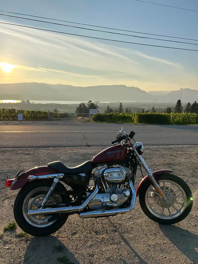 2007  Harley Davidson Sportster xl883 in Street, Cruisers & Choppers in Kelowna - Image 3