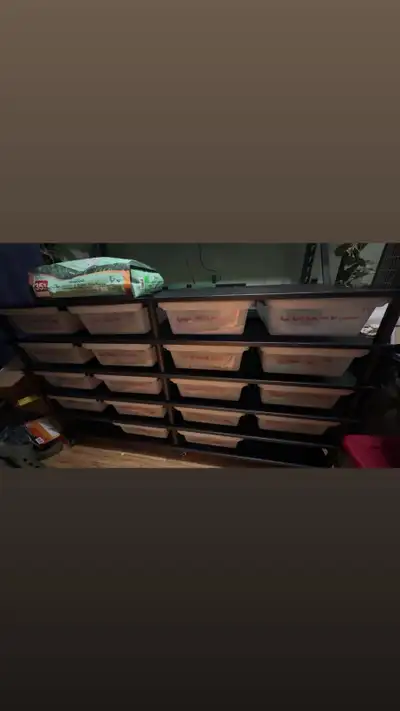 I have to pass on my collection as I am about to have a baby! 16 bps for rehoming. Will sell individ...