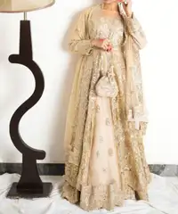 Stunning Indian/Pakistani Dress for $180
