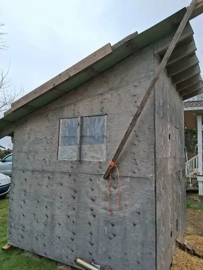 8x8 and 10' high at Roof peak. Very solid and properly built with 5/8 plywood for walls and 3/4 plyw...