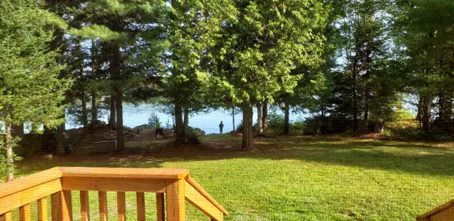 Muskoka Waterfront Cottage - Book now for Summer 2024 in Ontario in Canada - Image 4