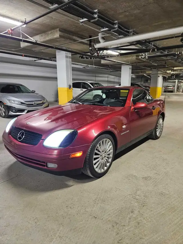 1999 SLK230598688411042467846
