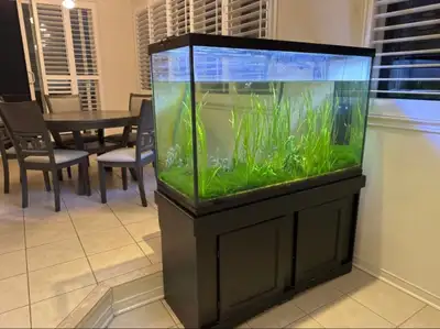 Complete Aquarium Setup - Tank + Stand + Filter + Heater, View more