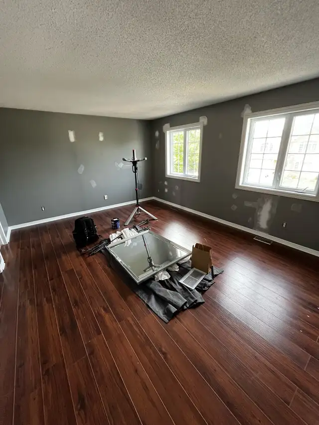 Professional Painter63235170608003121