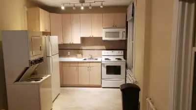 Big renovated apt for rent in downtown Ottawa. The apt has big dining room and big living room and s...
