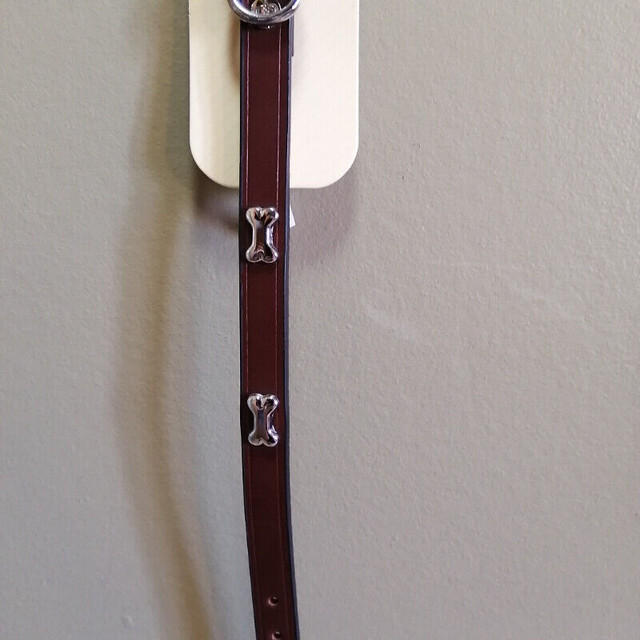 BOND & CO Brown Leather Collar for Small Dogs in Accessories in Bedford - Image 3