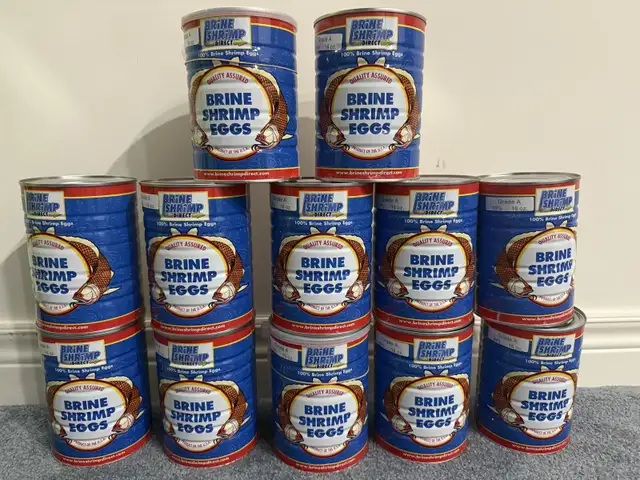 Grade A Brine Shrimp Eggs in Original Cans – Premium Quality! in Fish for Rehoming in Oshawa / Durham Region - Image 7