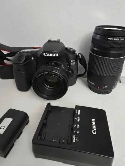 Canon 60D with Portrait and Zoom Lens, View more