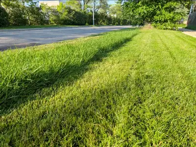 Grass, Shrubs Cutting - Fair Price, View more
