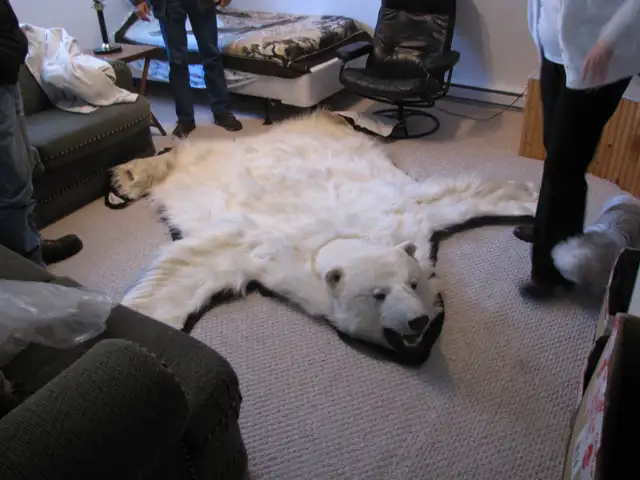 Polar bear rug for sale