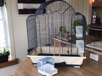 Cage d’oiseaux 