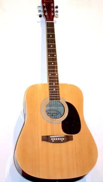 Burswood JW-41F Acoustic Guitar Blue /black weatherproof case - 45$ extra Guitar tuner included! Exc...