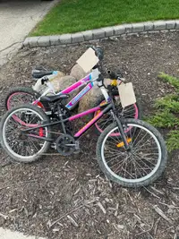 Two free bikes