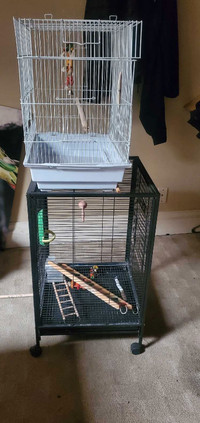 2 bird  Cage