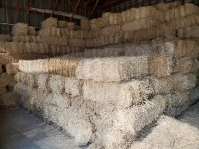 2026 Organic Straw for Sale, View more