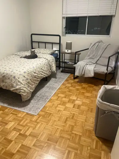 Looking for a quiet, clean, respectful, and non-smoking female to rent a private, fully furnished ro...