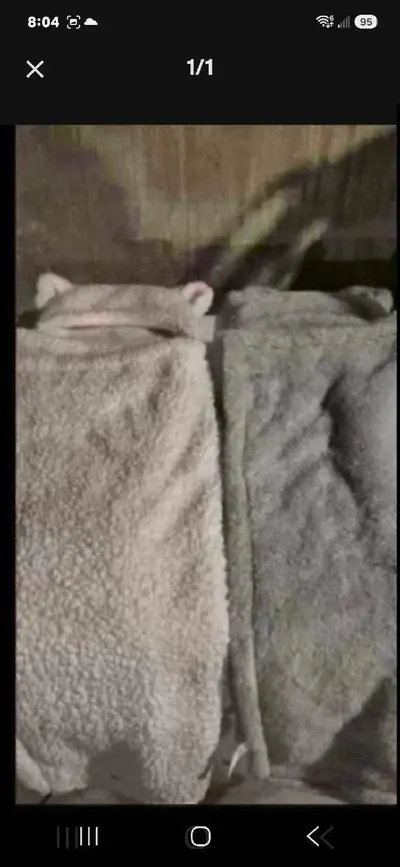 Baby Hooded Blankets, View more