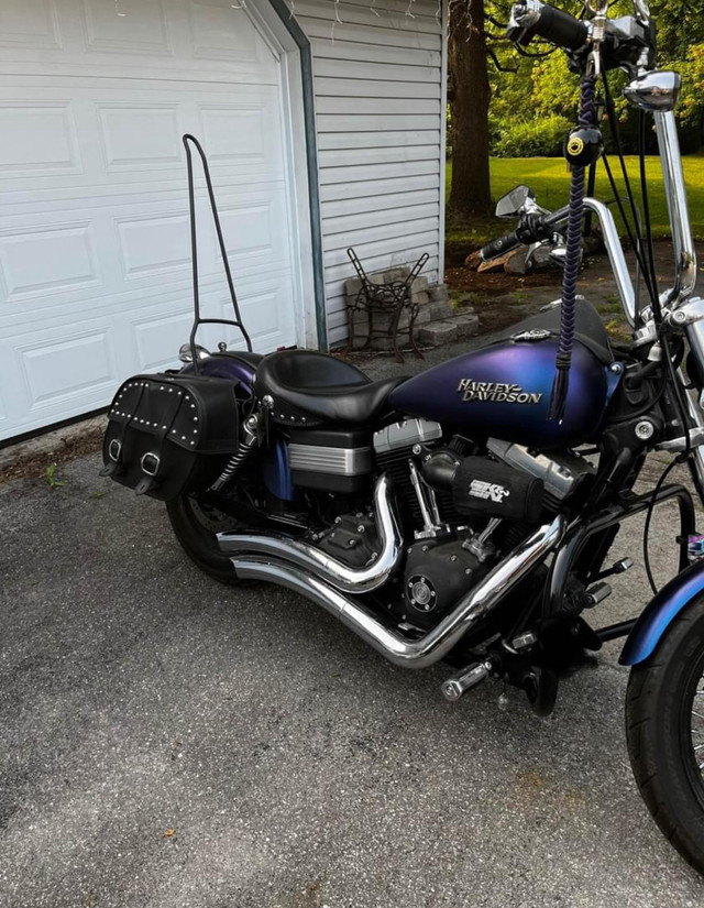 Harley Davidson Streetbob for sale in Street, Cruisers & Choppers in Kingston