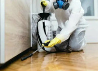 Pest Control,Exterminator,Bed Bugs,Roaches 647--370--9822