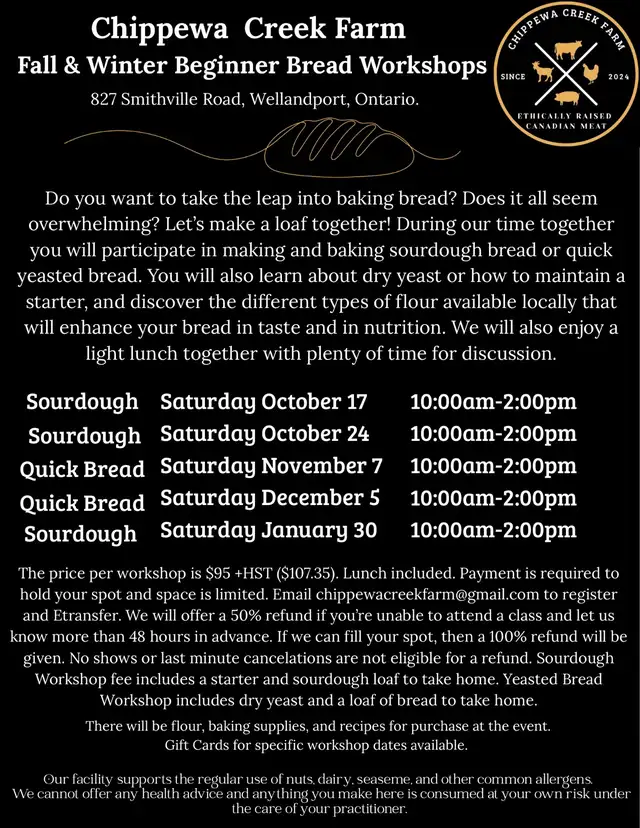 sourdough workshops 