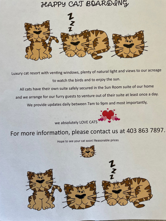 Happy Cat Boarding in Animal & Pet Services in Calgary