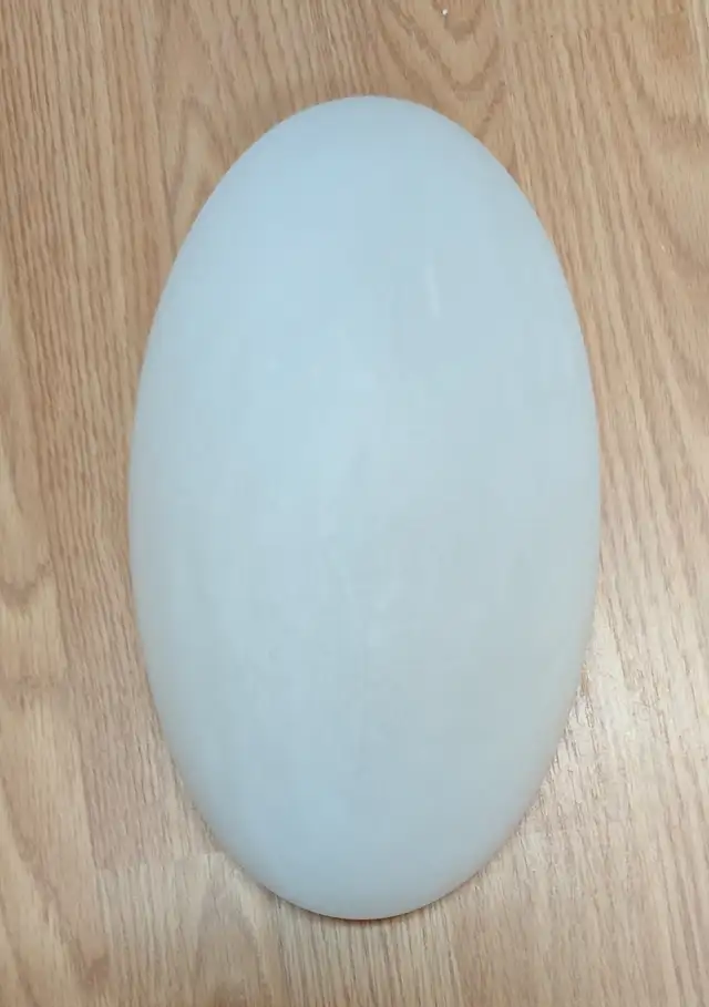 Applique murale avec abat-jour en verre in Indoor Lighting & Fans in Québec City - Image 2