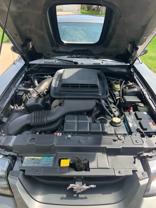 2003 Mustang Mach 1544786020042035208