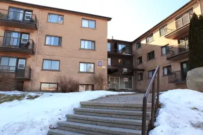 Dorval: Big 31/2 in basement for rent avaible 1st July.