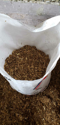 Chicken and pigeon manure 