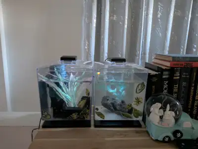 2 Tetra whisper 1.5 gallon aquariums, View more