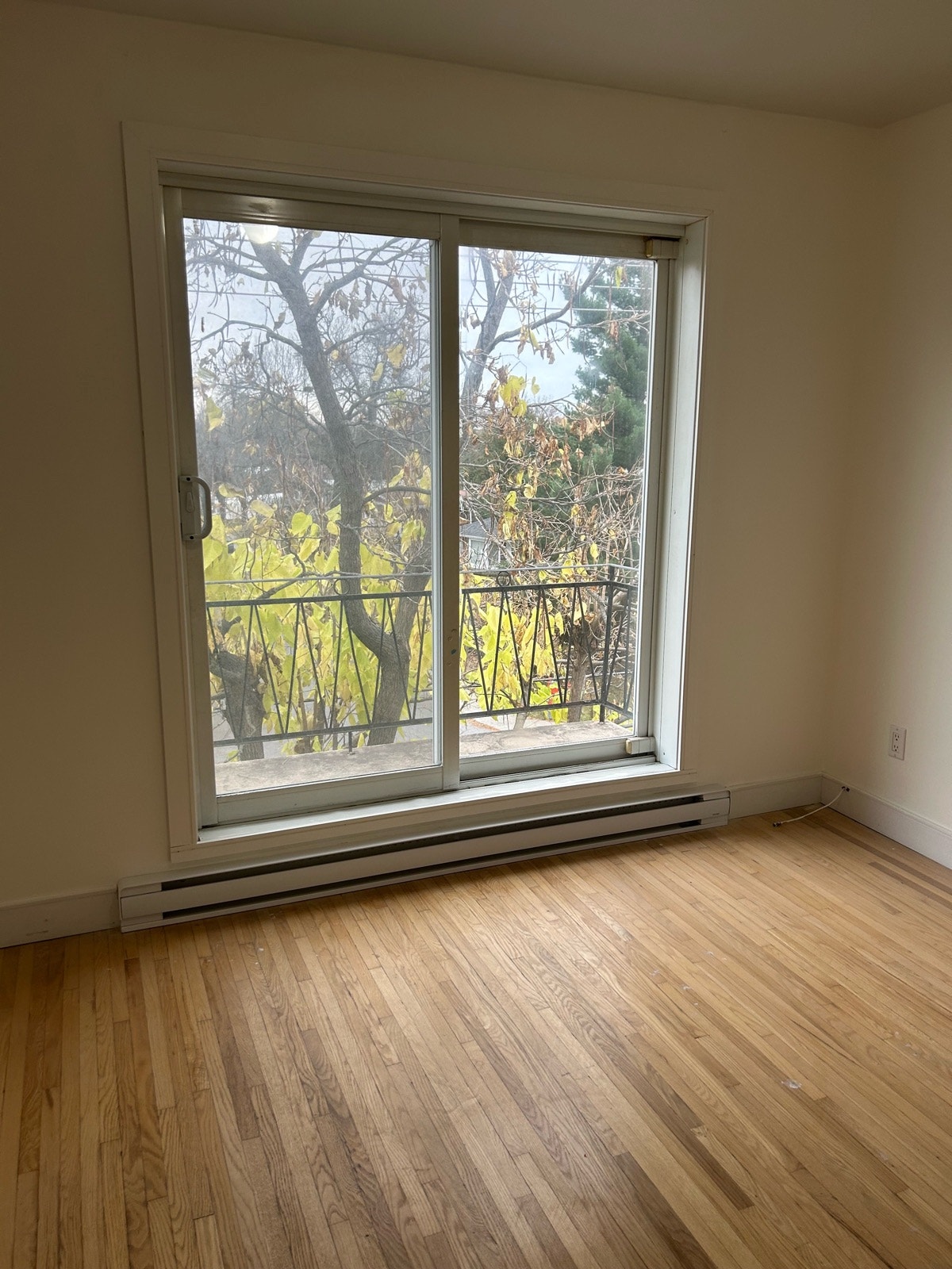 14351 Rue Forsyth — photo 3