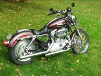 2005 Harley Davidson sportster 883 xl custom 