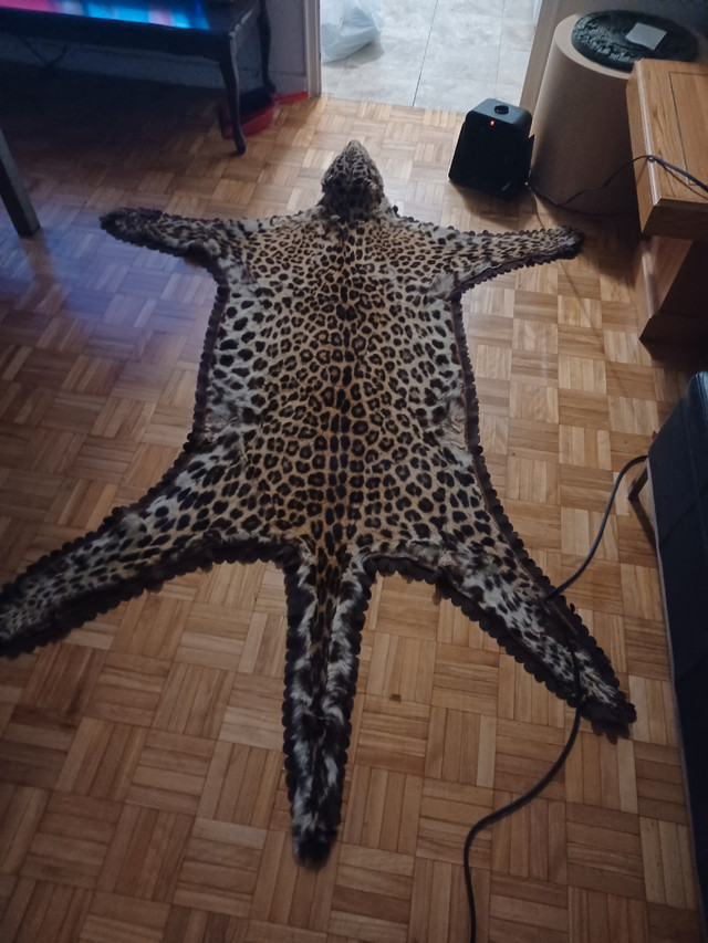 Leopard skin rug in Other in City of Toronto - Image 4