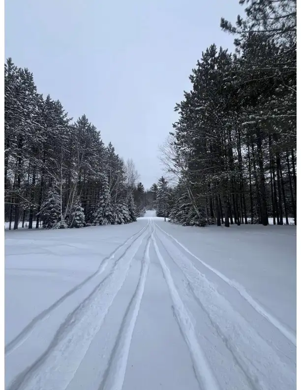 SNOW MIBILE, ICEFISH, COTTAGES in Ontario in Canada - Image 8