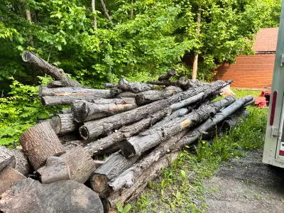 Dry hardwood firewood. 2 years old. Over 10 cords. Machine to load 613-880-5635