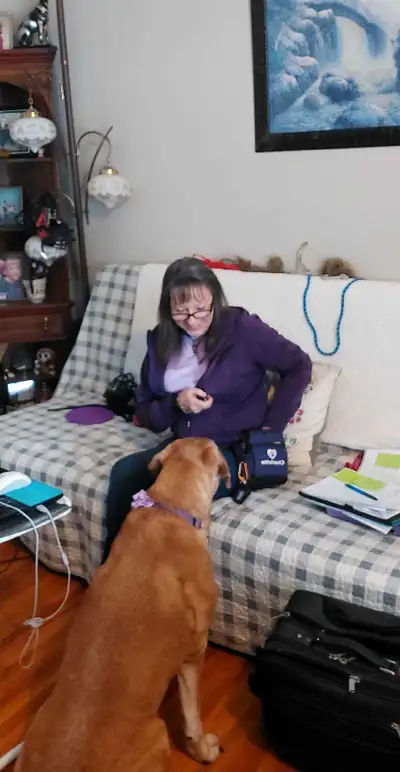 780 655 6500 text or call! For your free Consultation!! I live in Edmonton, train Canada wide virtua...